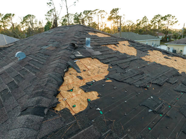 Best Gutter Installation and Repair  in Loveland Park, OH